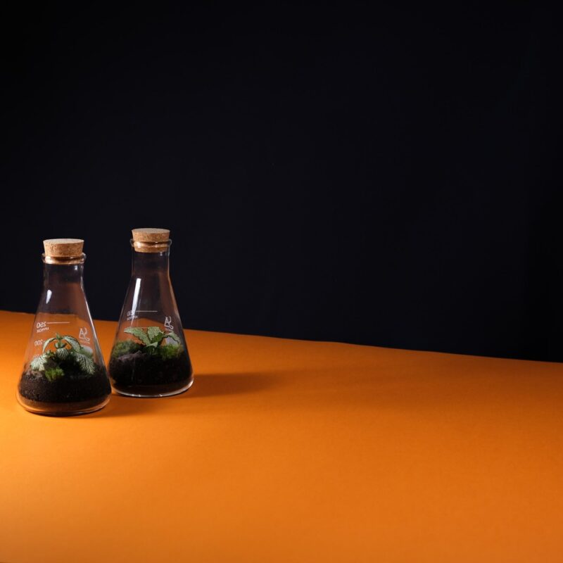 REN 250ml - Image 3