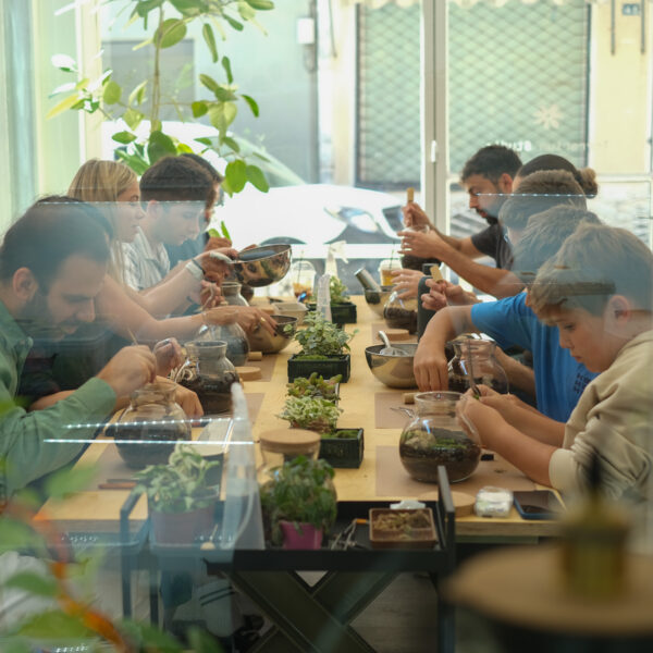 Terrarium Workshop, Friday 27th February 2026, 19:00-21:00