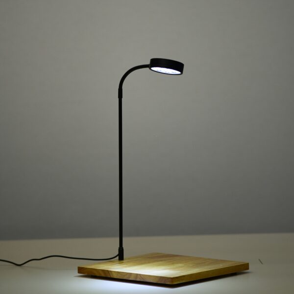 Wooden Display Lamp for Terrariums & Plants